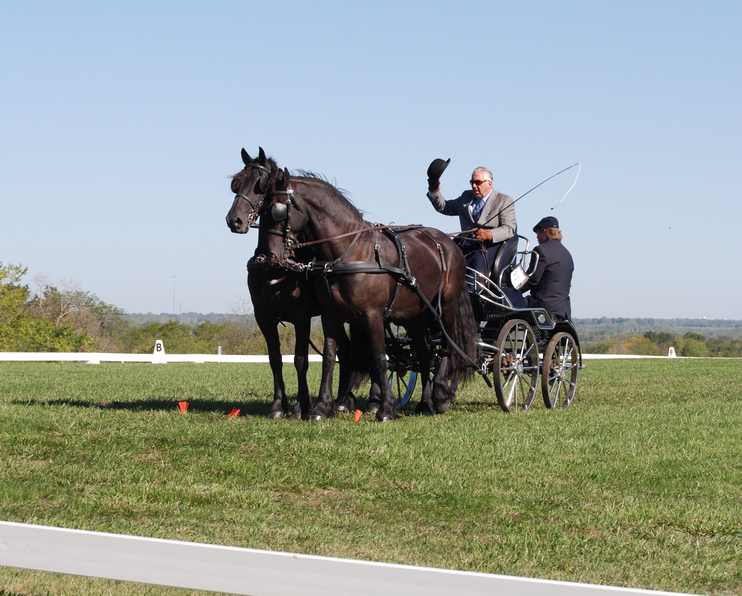 Combined Driving Horse Sport for Everyone U.S. Horsemanship