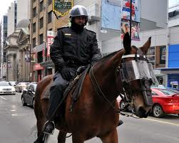 Mounted Police Wear Them